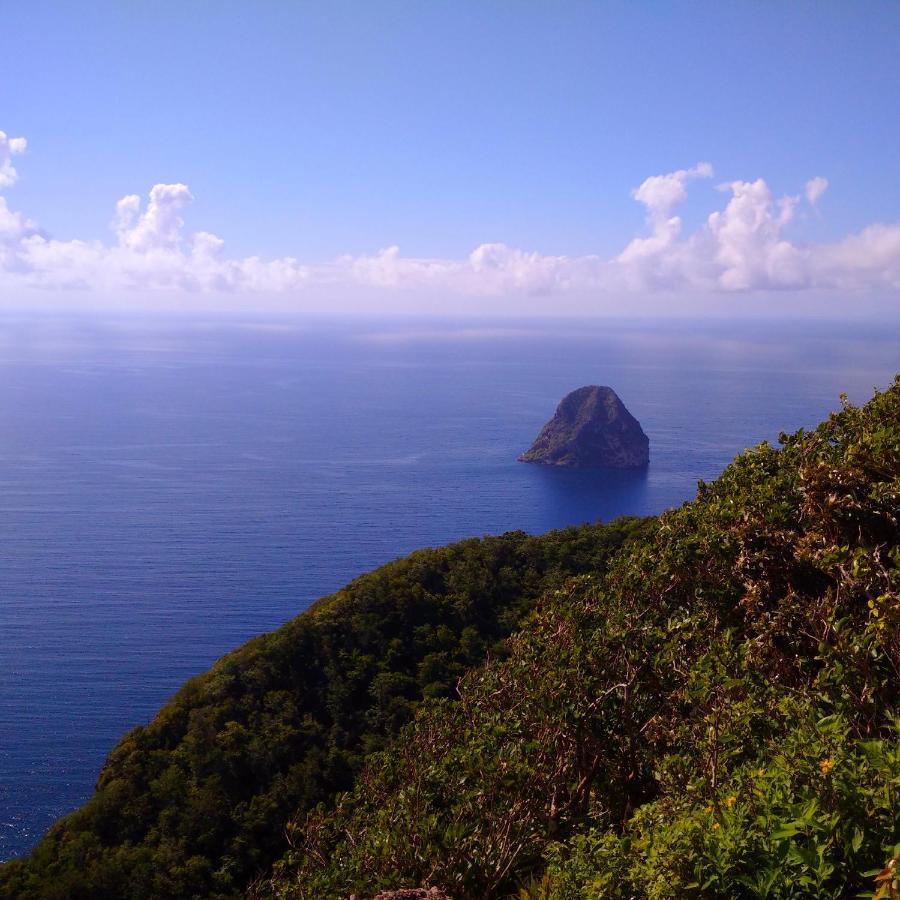 Douceur Antilla Apartment Morne Blanc Bagian luar foto