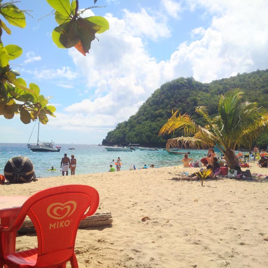 Douceur Antilla Apartment Morne Blanc Bagian luar foto